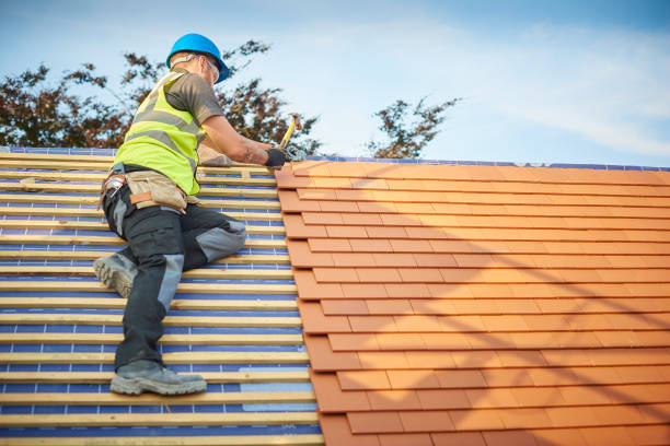 Best Roof Moss and Algae Removal  in Yardley, PA
